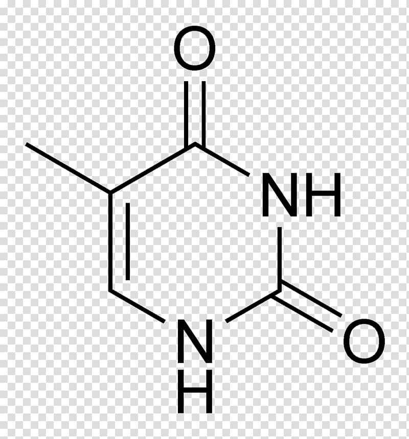 Thymine Uracil Adenine Pyrimidine Nucleobase, others transparent background PNG clipart