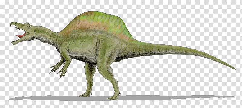 Raptor Red Tyrannosaurus Velociraptor Spinosaurus Deinonychus, Dinosaur Creative transparent background PNG clipart