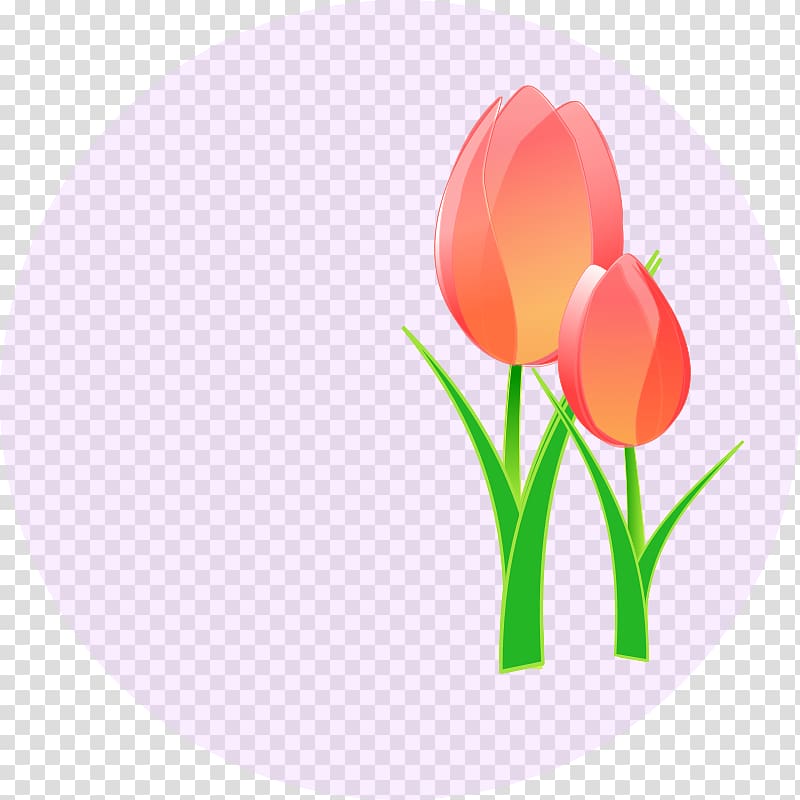 Tulip mania Flower , Art Tulips transparent background PNG clipart