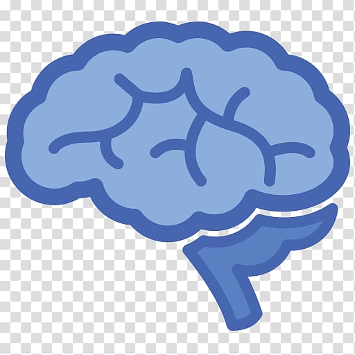 Computer Icons Brain , Brain transparent background PNG clipart