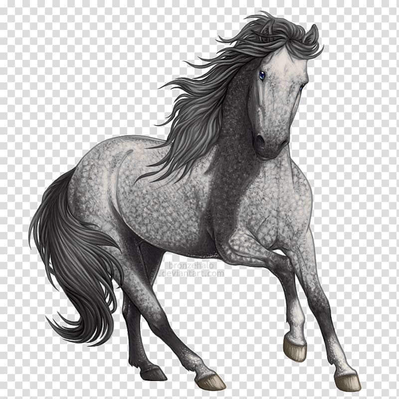 Horse Mane Gray Drawing , horse transparent background PNG clipart ...
