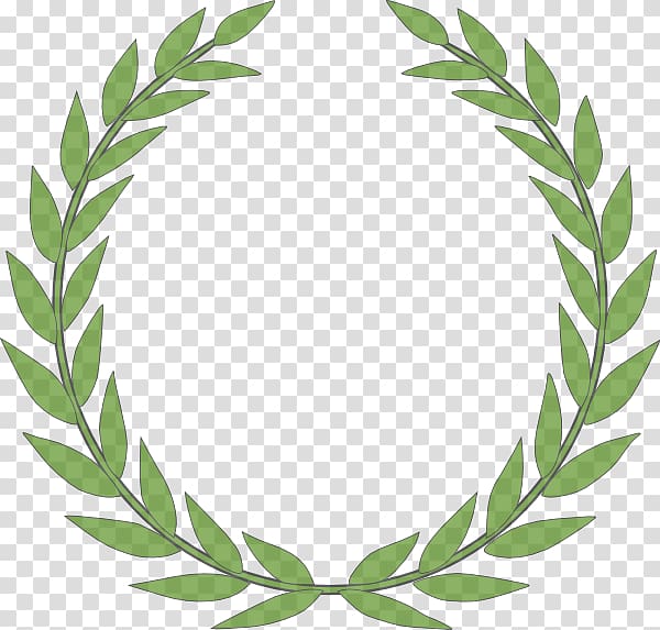 Laurel wreath Bay Laurel , Curry Leaves transparent background PNG clipart