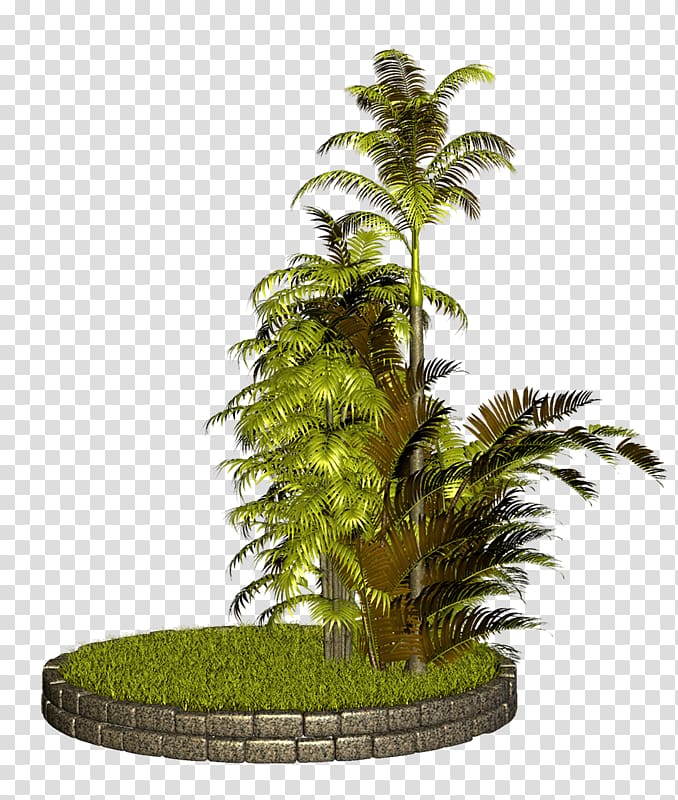 Arecaceae Flowerpot Houseplant Tree , PALMERAS transparent background PNG clipart