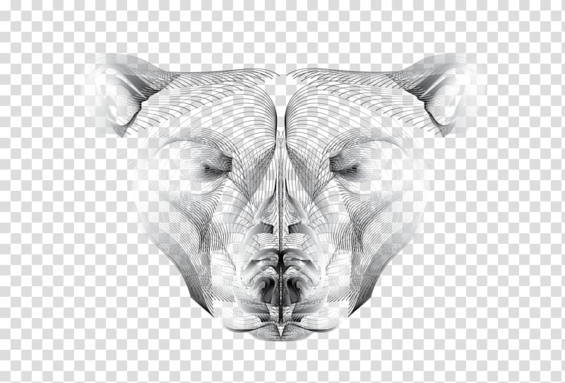 Drawing Monochrome Face Snout, cockatoo transparent background PNG clipart