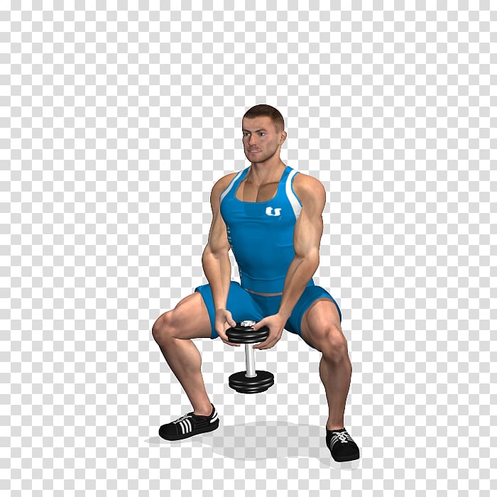 Squat Dumbbell Physical exercise Deadlift Gluteal muscles, Sumo transparent background PNG clipart