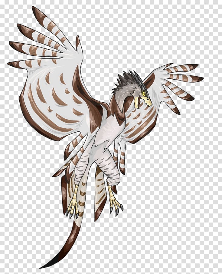 Harpy Eagle , Harpy transparent background PNG clipart