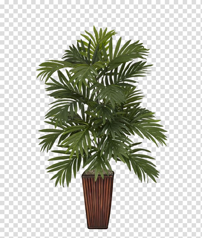 Albizia julibrissin Areca palm Arecaceae Vase Plant, vase transparent background PNG clipart