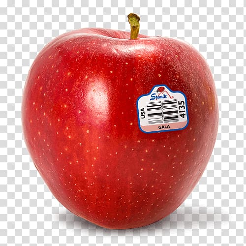 Apple pie Gala Organic food Red Delicious, apple transparent background PNG clipart