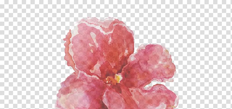 Petal Pink M Cut flowers RTV Pink, Kipo transparent background PNG clipart