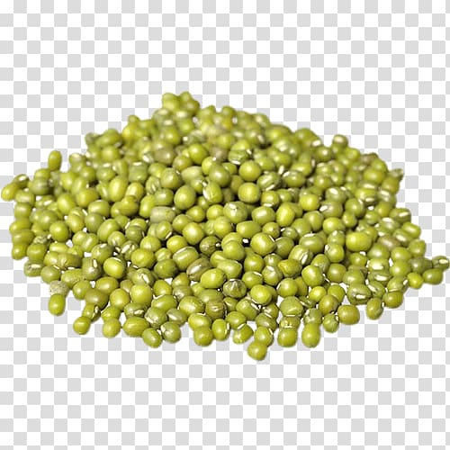 Mung bean Organic food Chinese cuisine Dal Sprouting, bean transparent background PNG clipart