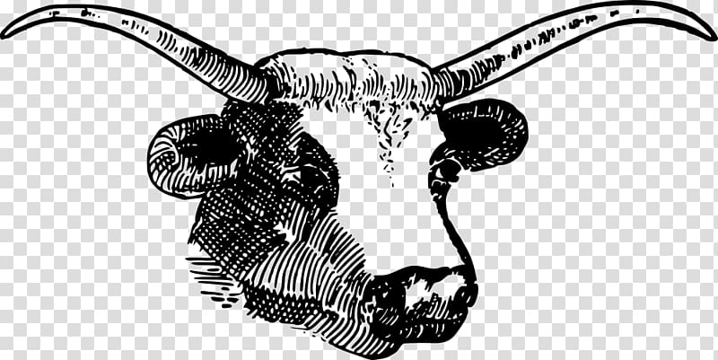 Texas Longhorn English Longhorn Angus cattle , bull skull transparent background PNG clipart