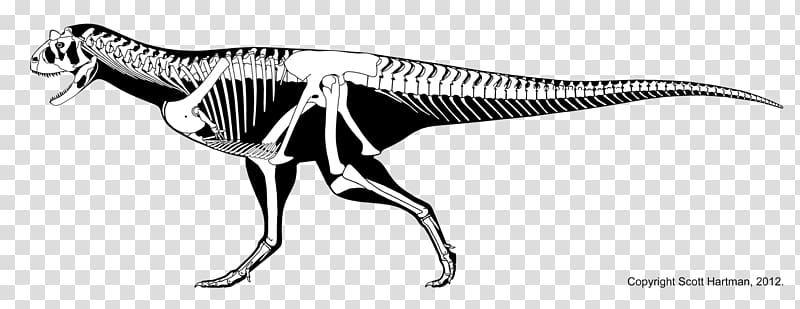 Carnotaurus Tyrannosaurus Xenotarsosaurus Majungasaurus Late Cretaceous, taurus transparent background PNG clipart