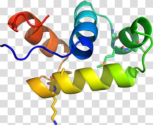 Line , design transparent background PNG clipart thumbnail