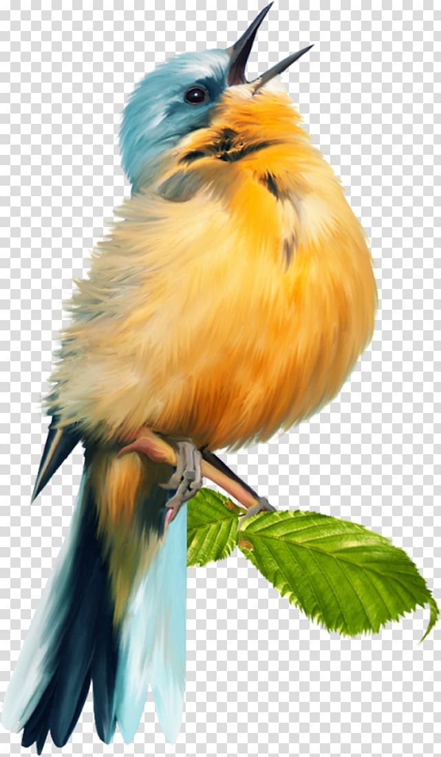 Bird Scrapbooking, Bird transparent background PNG clipart