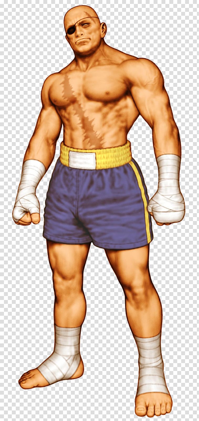 Sagat Ryu Street Fighter Akuma Blanka, Street Fighter transparent background PNG clipart