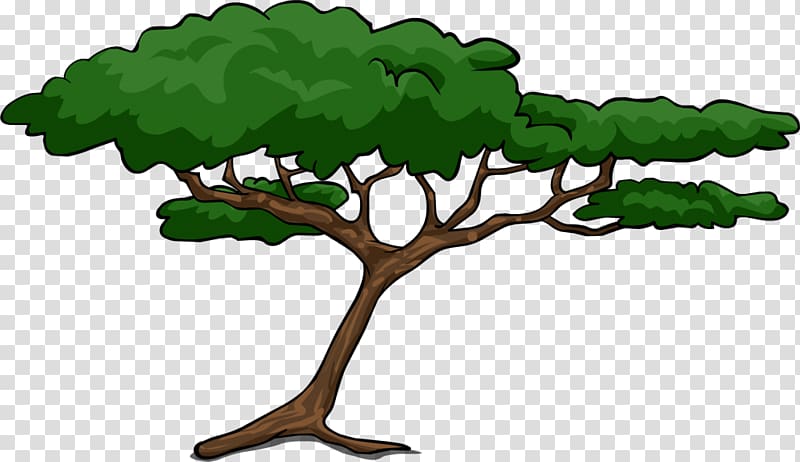Wattles Tree , others transparent background PNG clipart