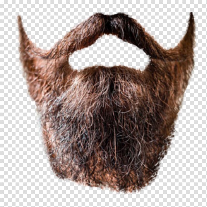 man's beard, World Beard and Moustache Championships Close-up, Beard transparent background PNG clipart