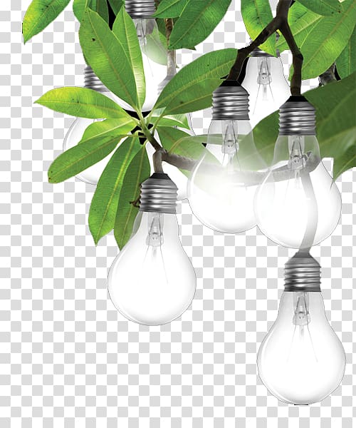 white bulb, Power Electricity Industry Public utility Business, Light bulb on the leaves transparent background PNG clipart