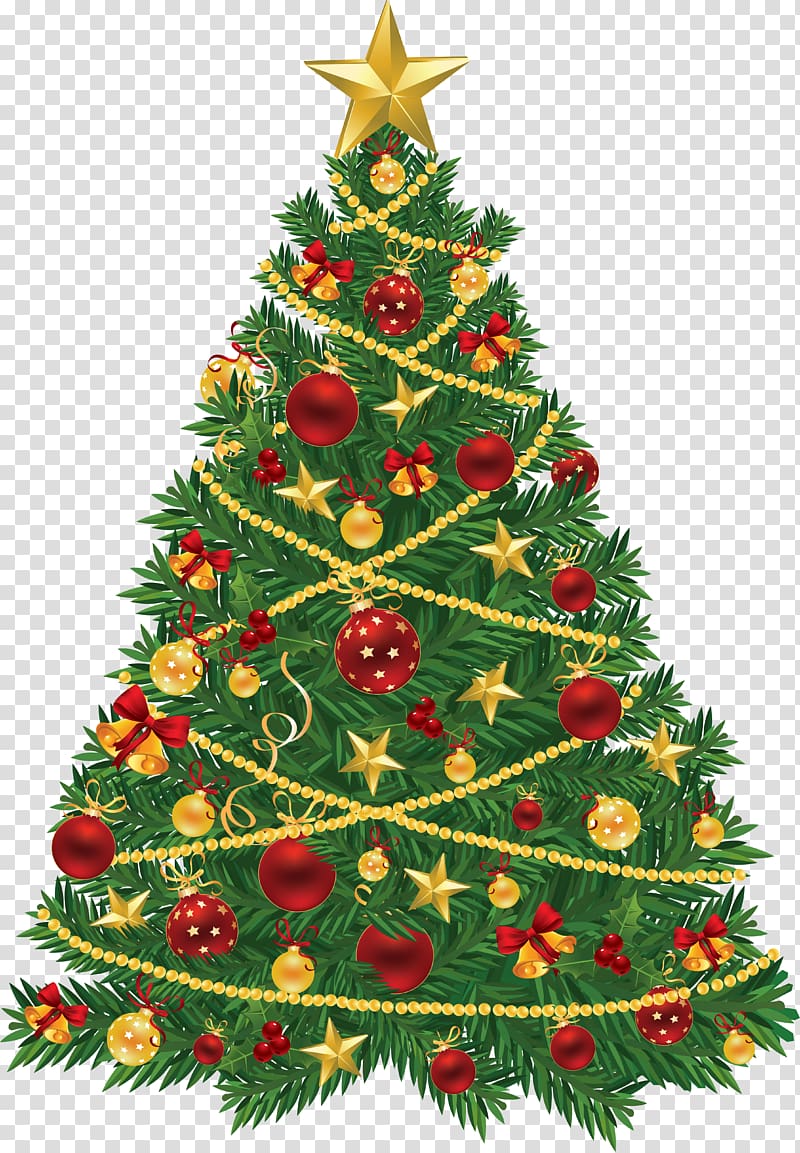 Christmas tree Christmas ornament , arbol transparent background PNG clipart