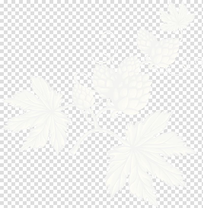 Petal White Leaf Home-Brewing & Winemaking Supplies , Leaf transparent background PNG clipart