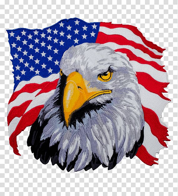 bald eagle with USA flag background , United States T-shirt Bald Eagle Hoodie, american transparent background PNG clipart
