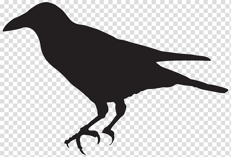 silhouette crow, Bird Silhouette , Crow Silhouette transparent background PNG clipart