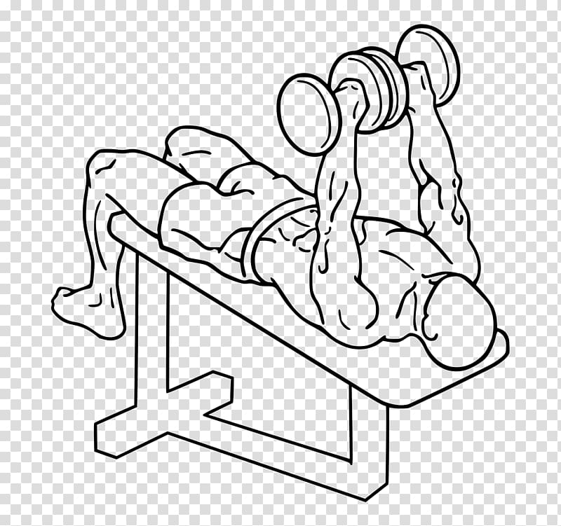 Bench press Dumbbell Barbell Fitness Centre, dumbell transparent background PNG clipart