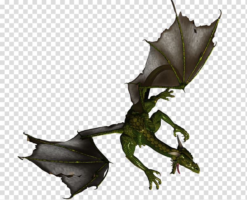 Dragon , Green Dragon transparent background PNG clipart