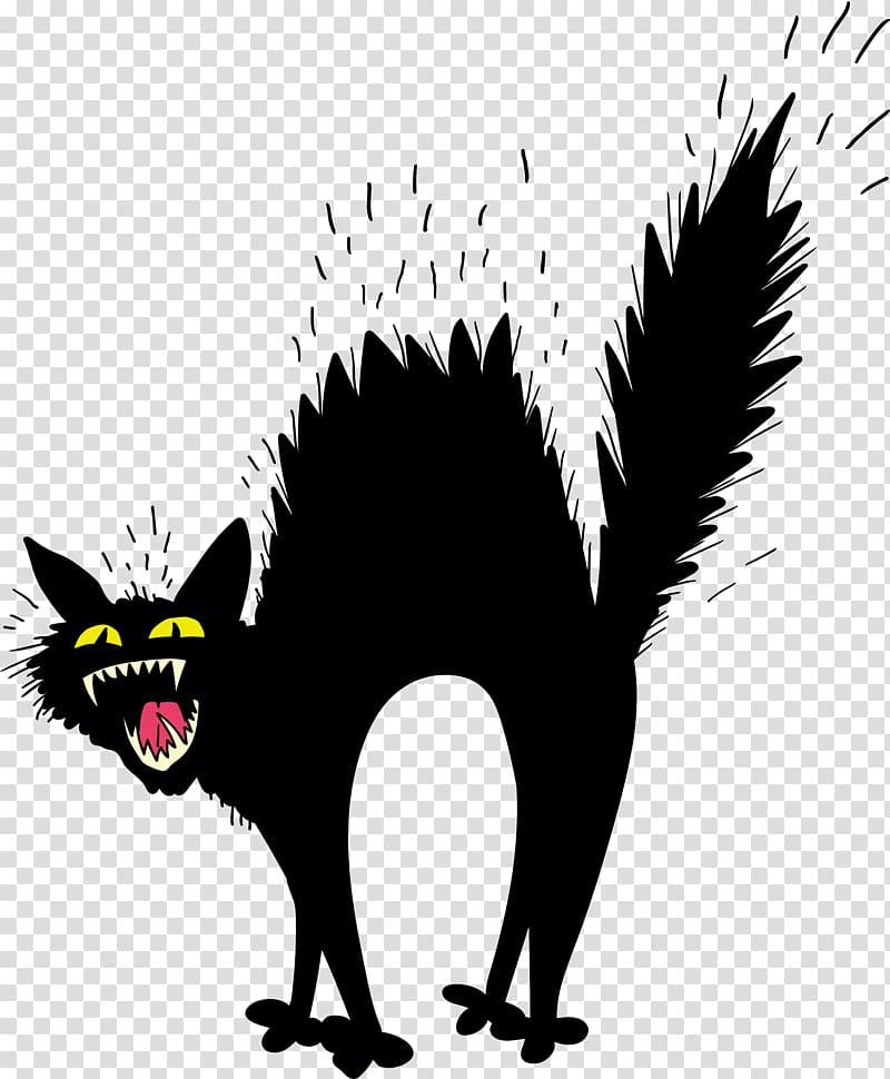 Black cat illustration, Scary black cat transparent background PNG