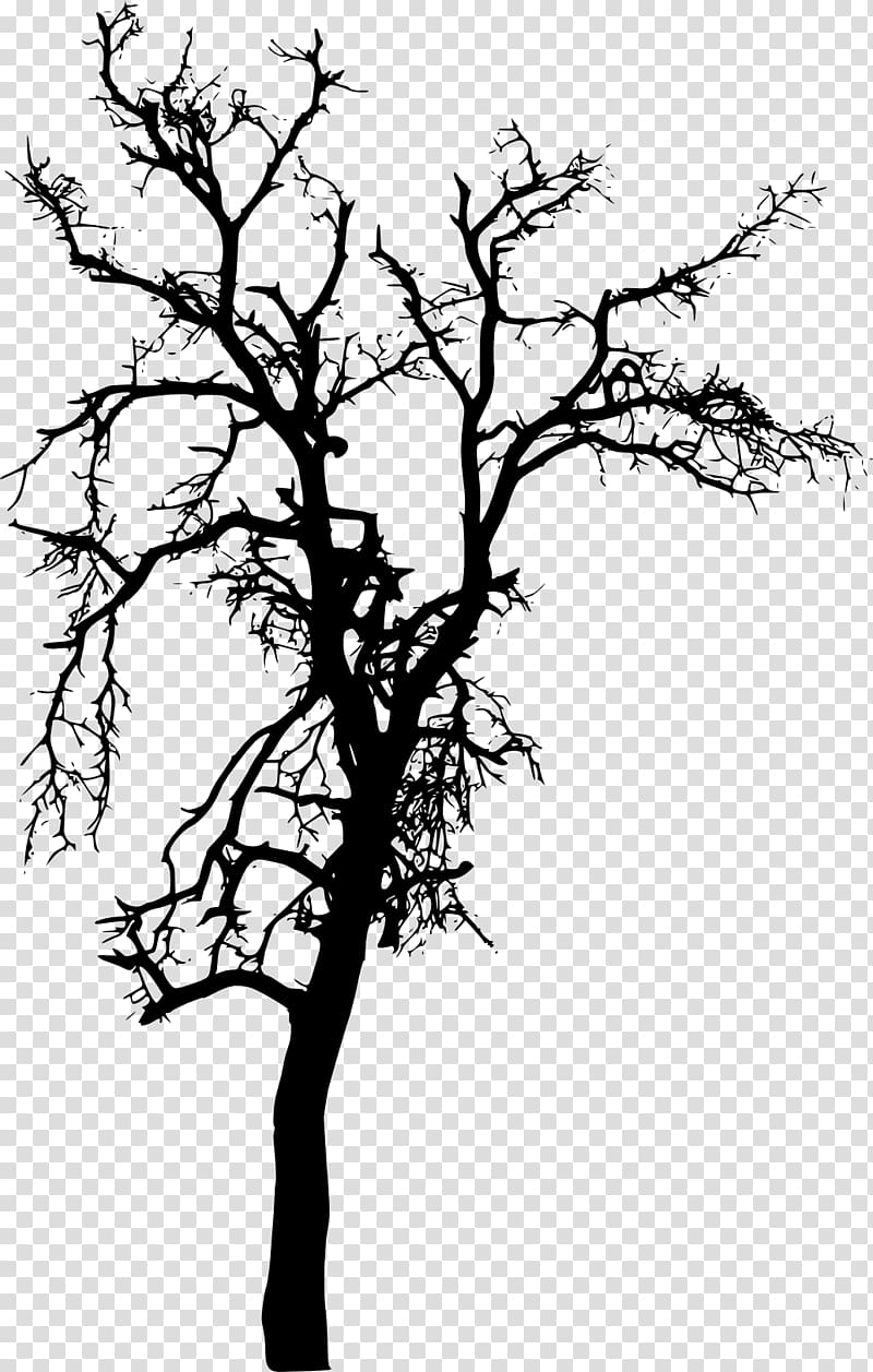 Tree Plant Branch Silhouette, tree silhouette transparent background PNG clipart