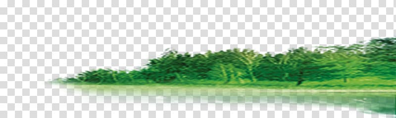 trees art, Forest, forest transparent background PNG clipart