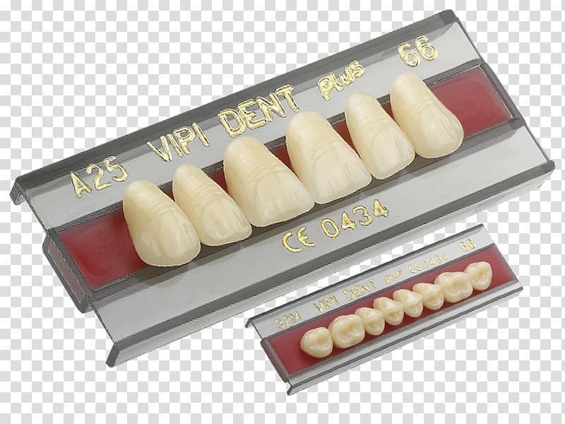 Tooth Dentures Dentistry Prosthesis, crown transparent background PNG clipart