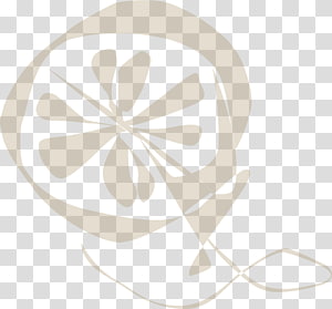 Line Font, design transparent background PNG clipart thumbnail