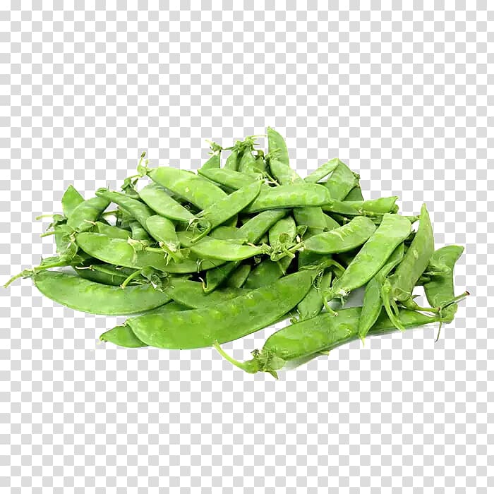 Snap pea Snow pea Bean Vegetable Food, creative peas transparent background PNG clipart