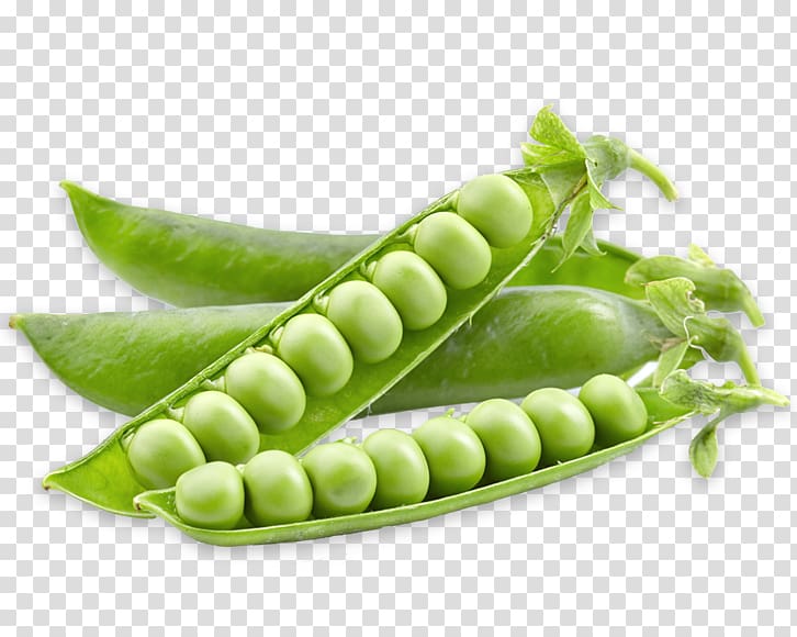 Snap pea Vegetarian cuisine Food Seed, pea transparent background PNG clipart