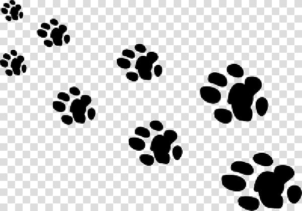 Giant panda Bear Paw Animal Footprint, bear transparent background PNG clipart