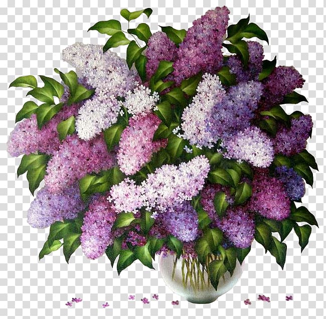 Common lilac Garden Flower , others transparent background PNG clipart