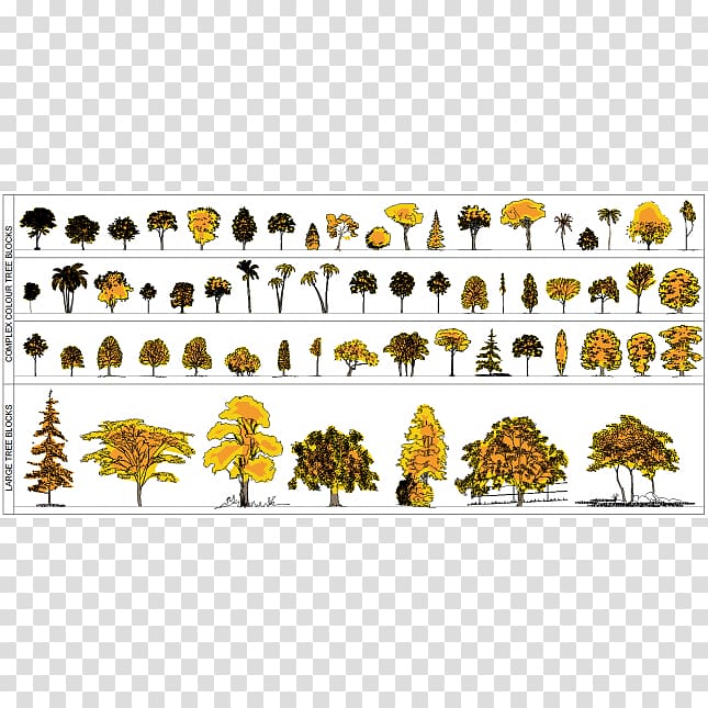 Landscape architecture Tree Drawing Plan, tree transparent background PNG clipart