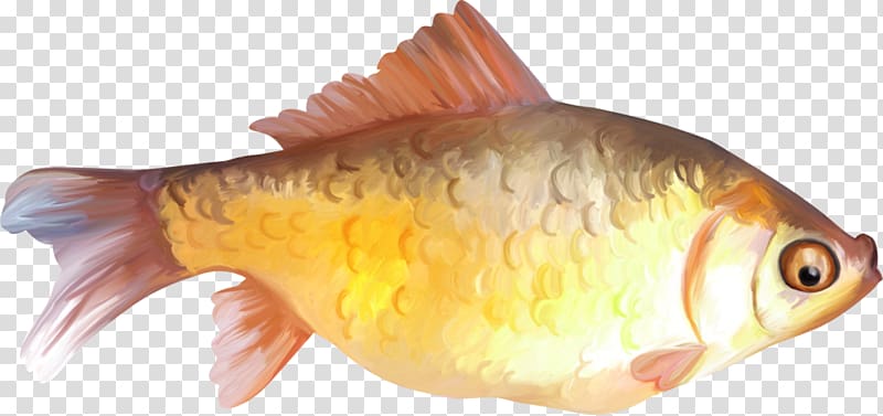 Goldfish , hand-painted fish transparent background PNG clipart