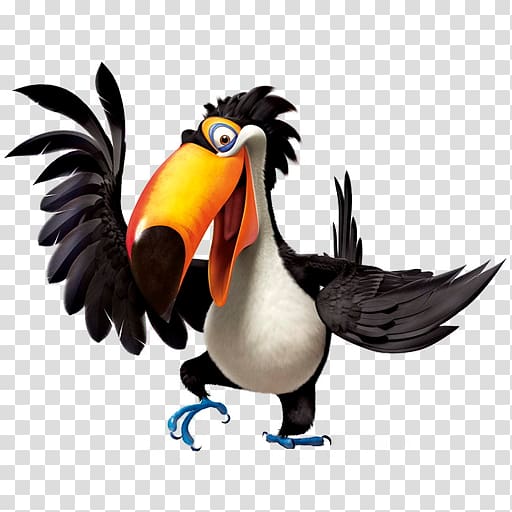 black and white toucan , hornbill flightless bird galliformes, Rio2 Rafael 2 transparent background PNG clipart