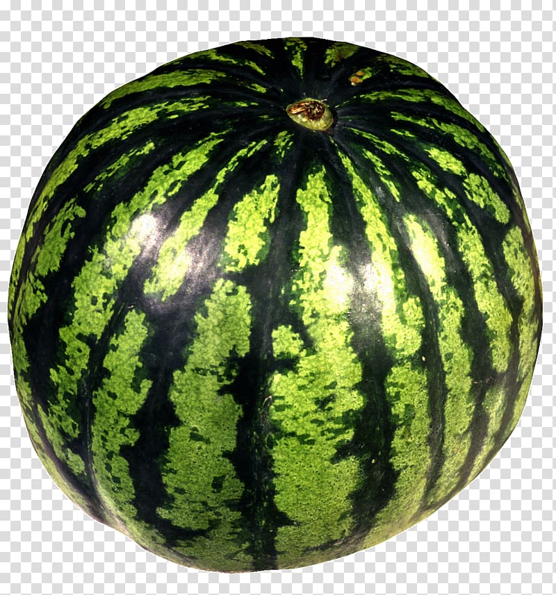 Citrullus lanatus var. lanatus Melon Fruit , watermelon transparent background PNG clipart