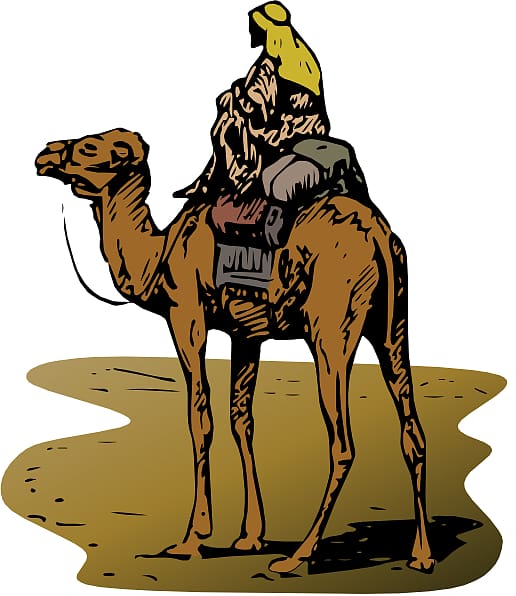 Silk Road Online marketplace Bitcoin Illegal drug trade, Camel transparent background PNG clipart