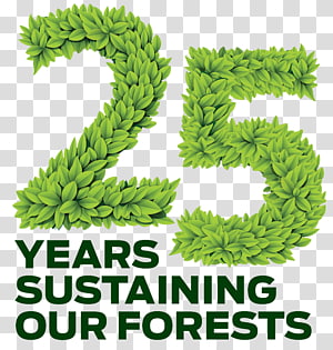 Drawing , Sale 25 transparent background PNG clipart thumbnail