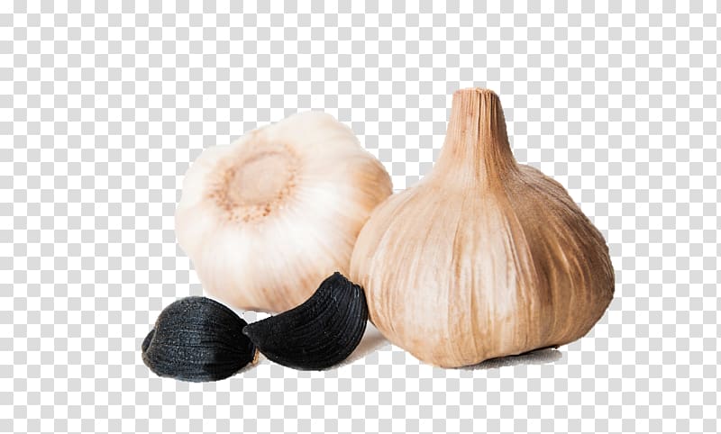 Garlic, BLACK GARLIC transparent background PNG clipart