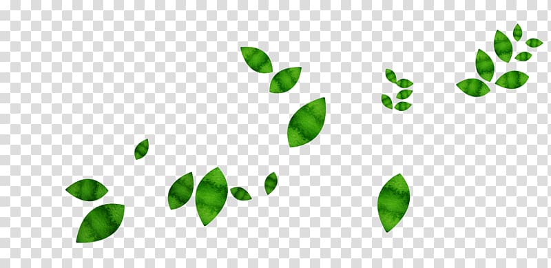 Leaf Green, Floating green leaves transparent background PNG clipart