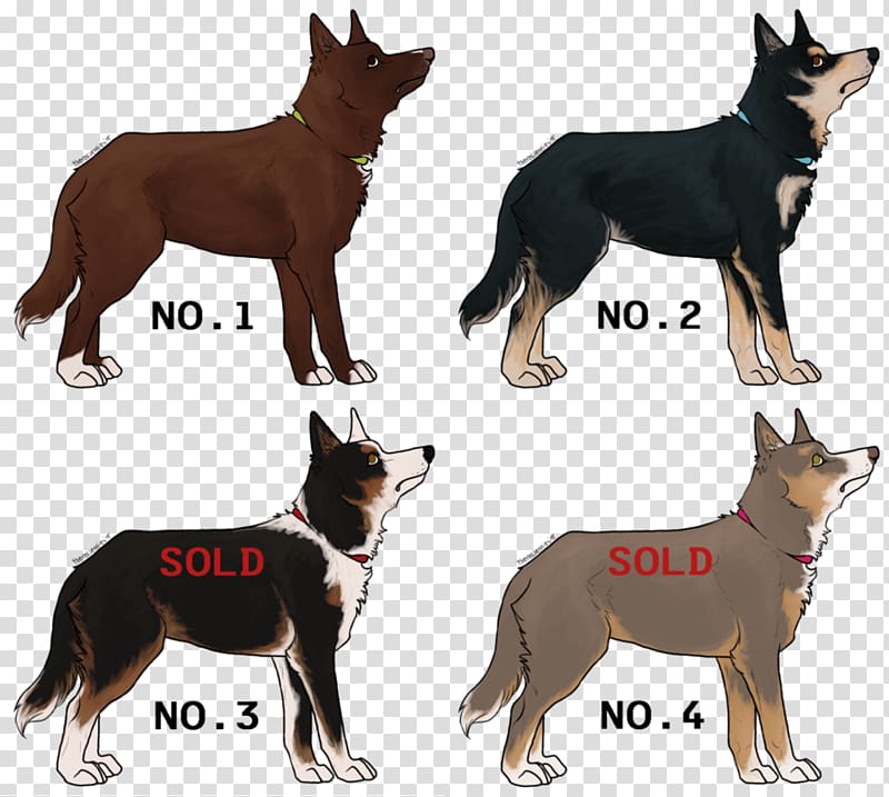 Australian Kelpie Lapponian herder Ancient dog breeds, Australia transparent background PNG clipart