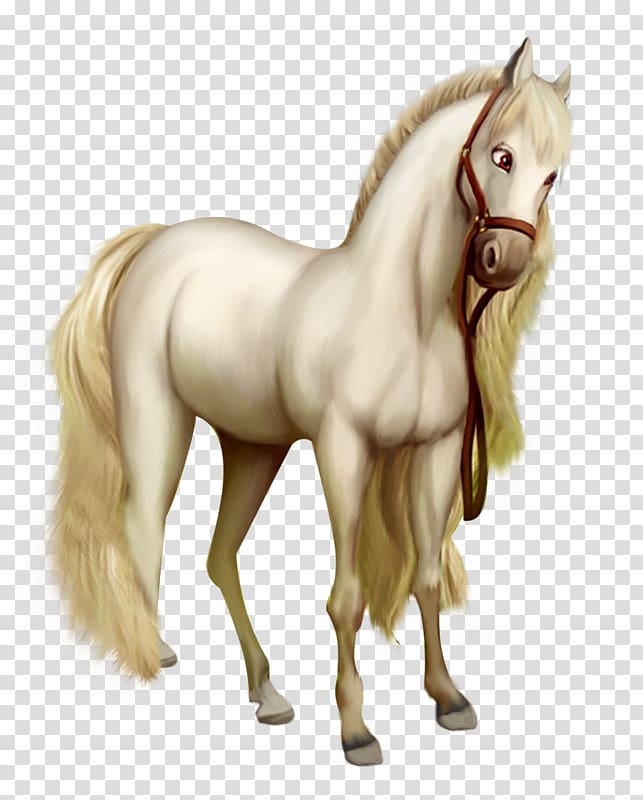 American Saddlebred Pony White Foal , Golden Horse transparent background PNG clipart