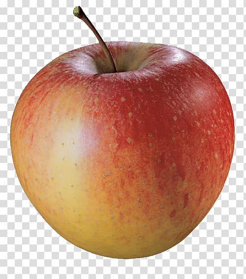 McIntosh Apple pie Pinova Ontbijtkoek, apple transparent background PNG clipart