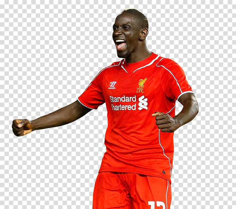 Premier League Liverpool F.C. Crystal Palace F.C. Football player Manchester United F.C., premier league transparent background PNG clipart