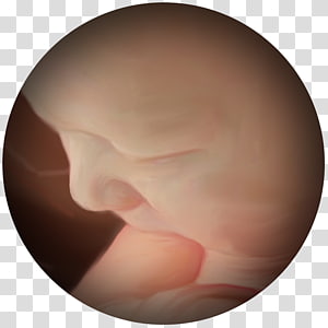 Thumb Close-up, others transparent background PNG clipart thumbnail